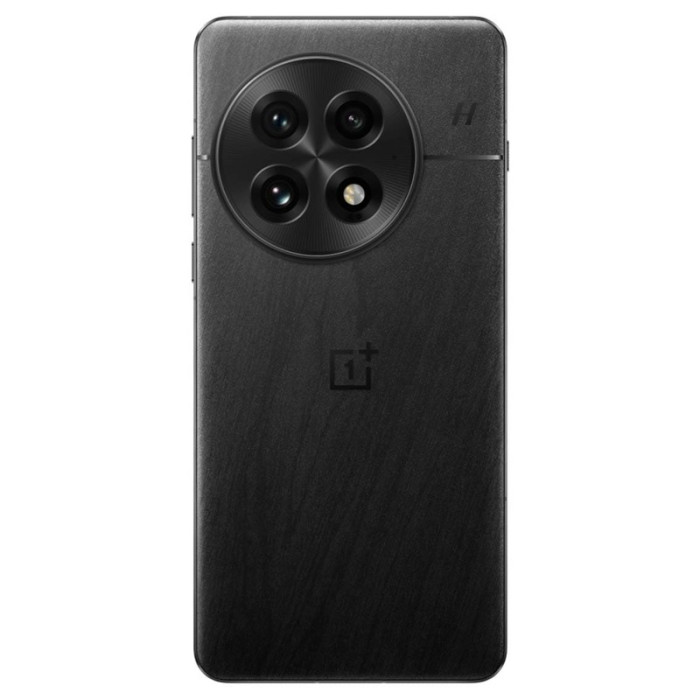 OnePlus 13