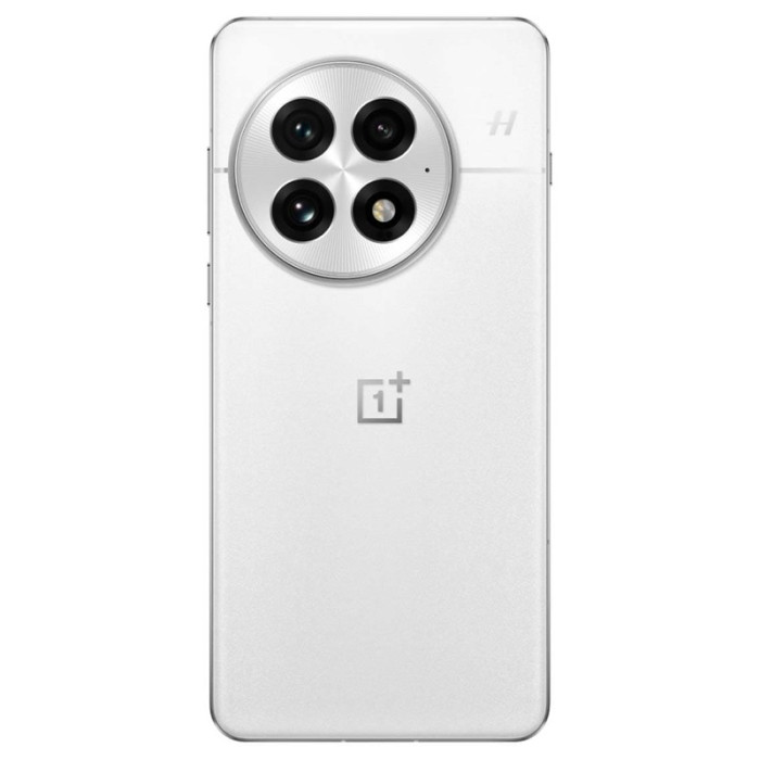 OnePlus 13